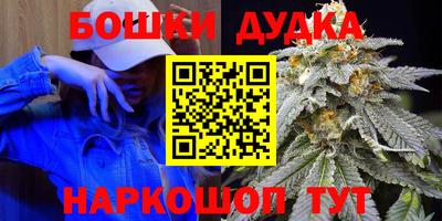 гидропоника Будённовск