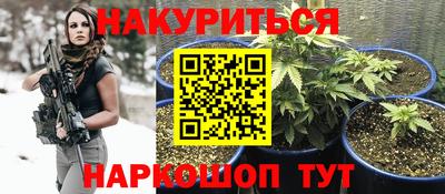 гидропоника Будённовск