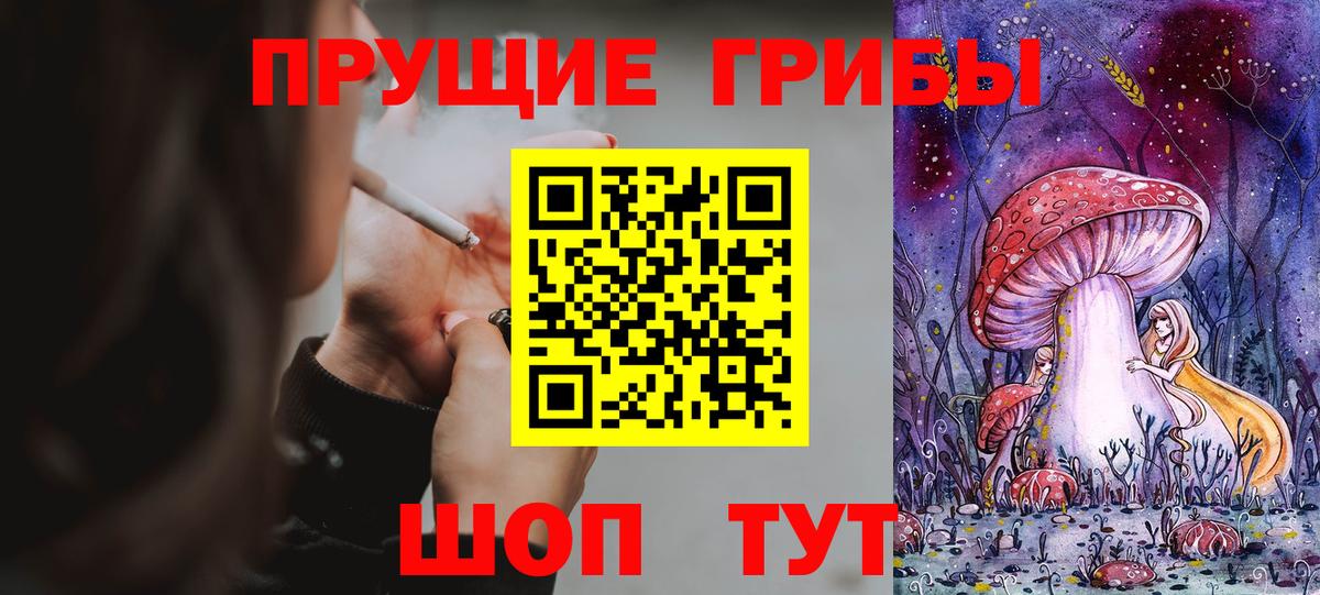 Галлюциногенные грибы Cubensis  Вход с VPN  Бирск 