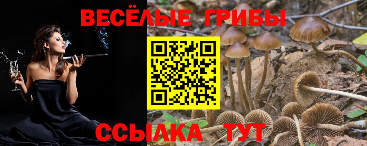 Псилоцибиновые грибы прущие грибы Бирск